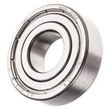 SKF/NSK/NTN/IKO/Timken/NACHI/Koyo Brand of 6001 6002 6003 6004 6201 6202 6203 6204 Zz 2RS C3 Bearings