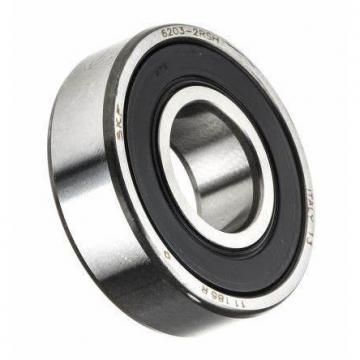 SKF, NSK, NTN, Koyo NMB Ezo NACHI Auto Ball Bearing 6001 6002 6003 6004 6201 6202 6203 6204 6301 6302 6303 6304 Zz 2RS C3