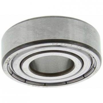 (6206 Z/RS, 6207z/RS) - O&Kai Z1V1 Z2V2 Z3V3 ISO Deep Groove Ball Bearing SKF NSK NTN NACHI Koyo OEM